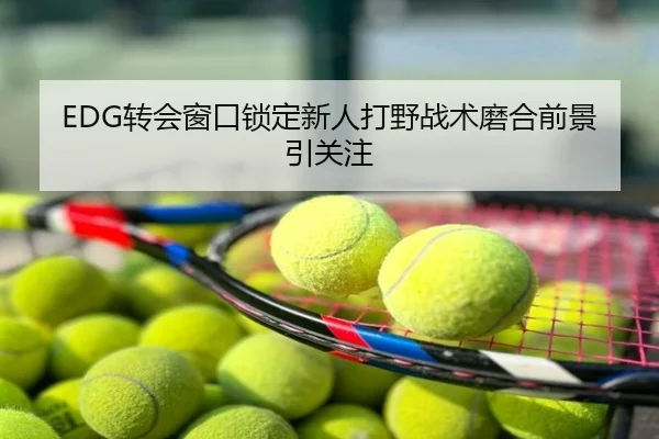 EDG转会窗口锁定新人打野战术磨合前景引关注